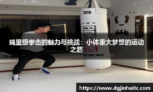 蝇量级拳击的魅力与挑战：小体重大梦想的运动之路